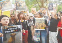 भटक्या कुत्र्यांसाठी मुंबईत युवक काँग्रेस रस्त्यावर