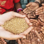 उमेद – गरजवंतांची संजीवनी ‘धान्य बँक’