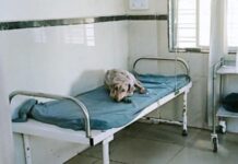 खोडाळा आरोग्य केंद्रात आता 24 तास कर्मचारी, वैद्यकीय अधिकाऱ्यांना नोटीस पाठवणार