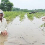अतिवृष्टीग्रस्त शेतकऱ्यांसाठी 2,540 कोटींचा निधी
