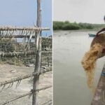 मच्छीमारांवर ‘आभाळ’ कोसळले, मोंथाच्या वादळी पावसाने सुक्या मासळीचा चोथा; हातातोंडाचा घास हिरावला