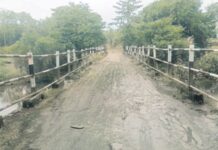 शहापूर-सरळांबे रस्त्याची चाळण, खड्ड्यांमुळे पुलाचा रस्ता खिळखिळा