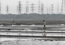 मिठागराची 104 एकर जमीन मीरा-भाईंदर महापालिकेला मिळणार