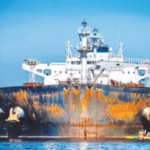 तेलाच्या पुरवठ्यासाठी बनावट झेंड्यांचा वापर! 22 हजार कोटींचे कच्चे तेल रशियातून हिंदुस्थानात