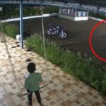 Pune news – पडवीत चिमुरडा झोका घेत असताना अंगणात बिबट्या आला अन्… थरकाप उडवणारा व्हिडीओ