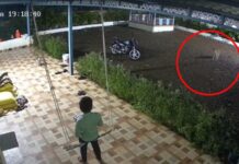 Pune news – पडवीत चिमुरडा झोका घेत असताना अंगणात बिबट्या आला अन्… थरकाप उडवणारा व्हिडीओ