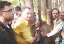 सरकार यम आहे का? झाडं का तोडताय! सयाजी शिंदे यांचा संतप्त सवाल