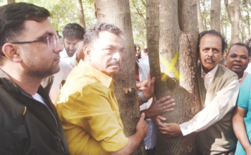 सरकार यम आहे का? झाडं का तोडताय! सयाजी शिंदे यांचा संतप्त सवाल