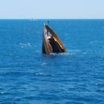 हिंद महासागरात 300 प्रवाशांना घेऊन जाणारे जहाज बुडाले, आतापर्यंत केवळ 10 जणांना वाचवण्यात यश