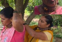Pune News – बिबट्यापासून संरक्षण मिळवण्यासाठी महिलांची अनोखी शक्कल, टोकदार खिळे असलेला पट्टा गळ्यात घातला
