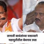 राष्ट्रवादीची औलाद सत्तेशिवाय राहू शकत नाही! तानाजी सावंतांची अजित पवारांच्या गटावर टिका, महायुतीतील बेबनाव पुन्हा समोर tanaji sawant slams ajit pawar ncp reignites mahayuti rift (1)
