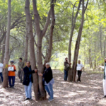 तपोवनातील झाडे वाचवण्यासाठी पर्यावरणप्रेमींचे चिपको आंदोलन, सात दिवसांत तब्बल 450 हरकती दाखल