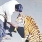 ट्रेंड – दारूची पॉवर!