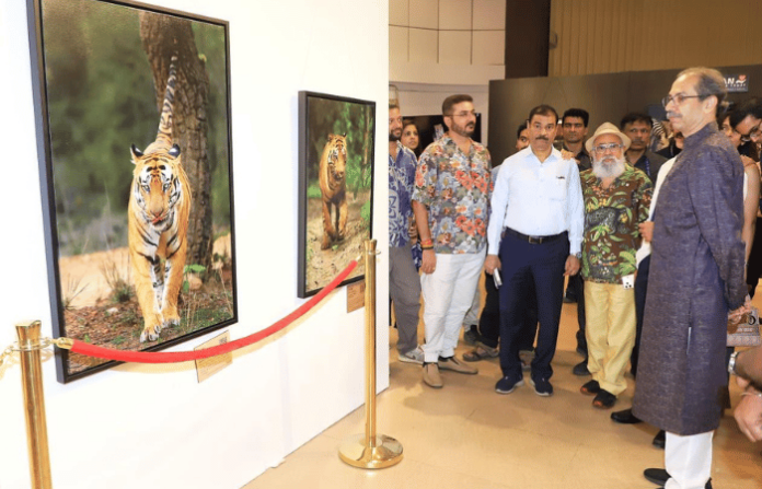 uddhav thackeray (3)