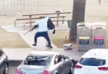 सिडनीच्या बीचवर दहशतवादी हल्ल्यात 12 ठार; 26 जखमी, ज्यू धर्मियांच्या उत्सवात अंदाधुंद गोळीबार