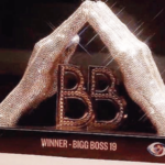 ‘बिग बॉस’ 19 चा ग्रँड फिनाले उद्या रंगणार