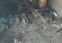 आईच्या साडीनेच बापाने मुलांचा गळा आवळला; तीन मुलींचा मृत्यू, दोन मुलं थोडक्यात बचावली