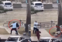 Bondi Beach Attack – ‘मैं मरने जा रहा हूं…’, दहशतवाद्याला भिडणाऱ्या अहमदच्या भावाने सांगितला थरारक प्रसंग