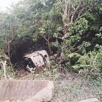 आंबा घाटात खासगी बस दरीत कोसळली; 37 जखमी