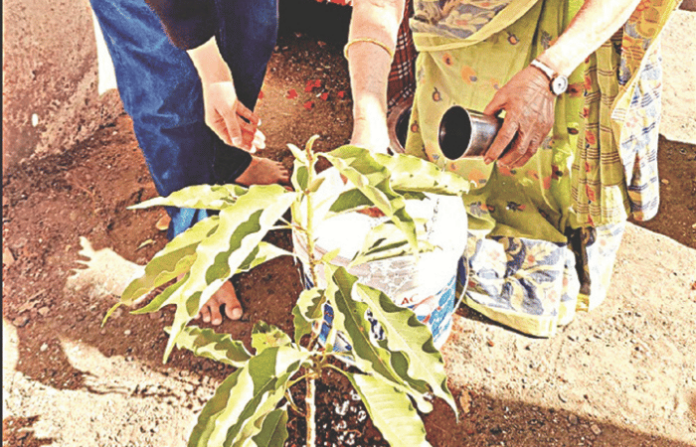 Dr. Baba Adhav's Ashes Immersed at Hamal Bhavan; Sonchafa Saplings Planted to Preserve Legacy Dr. Baba Adhav's Ashes Immersed at Hamal Bhavan; Sonchafa Saplings Planted to Preserve Legacy