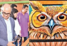 पिंगोरीत उलगडले घुबडांचे अंतरंग! हिंदुस्थानातील सहावा ‘उलूक’ उत्सव, विद्यार्थ्यांसह अभ्यासकांचा प्रतिसाद,