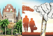 17 वर्षांनी संपली पेन्शनची प्रतीक्षा, हायकोर्टाने विद्यापीठाला लाभ देण्याचे दिले आदेश, 84 वर्षीय महिला कर्मचारीला दिलासा