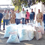 संगमनेरात 456 किलो गांजा जप्त Massive Drug Haul 456 kg Ganja Seized in Sangamner, Maharashtra