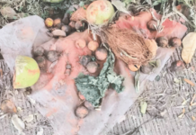 Unethical Practices Fuelled for Victory in Panchgani Municipal Council Elections