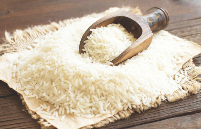 Untitled design - 2025-12-10T011330.964