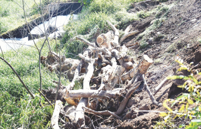 Untitled design - 2025-12-13T023254.094