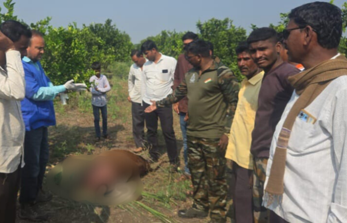 Untitled design (85)