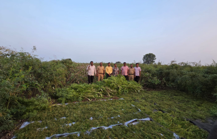 Untitled design (86)