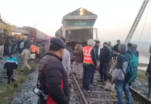 आसाममध्ये एक्स्प्रेसच्या धडकेत 7 हत्तींचा मृत्यू