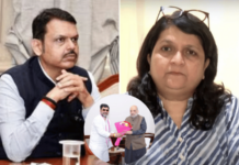 “भ्रष्टाचाराविरोधात लढणाऱ्या व्यक्तिला भेटण्यासाठी अमित शहा वेळ देत नाहीत, पण…”, अंजली दमानियांचा संताप, फडणवीसांनाही इशारा