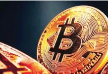 क्रिप्टोला करंट! 24 तासांत 12 लाख कोटी बुडाले