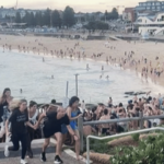 Sydney Mass Shooting – रेस्टॉरंटमध्ये लपून प्रसिद्ध क्रिकेटपटूने वाचवले प्राण