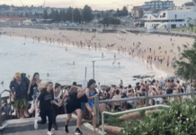 Sydney Mass Shooting – रेस्टॉरंटमध्ये लपून प्रसिद्ध क्रिकेटपटूने वाचवले प्राण