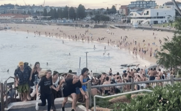 Sydney Mass Shooting – रेस्टॉरंटमध्ये लपून प्रसिद्ध क्रिकेटपटूने वाचवले प्राण