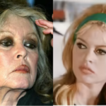 फ्रेन्च अभिनेत्री ब्रिगिट बार्डोट यांचे निधन, 91व्या वर्षी घेतला अखेरचा श्वास