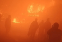 delhi agra yamuna expressway accident dense fog multi-vehicle pile up 4 dead 25 injured