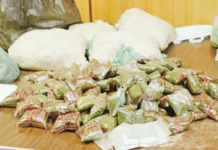 दोघा ड्रग्ज तस्करांना 20 वर्षे कारावास आणि एक लाखाची दंडाची शिक्षा