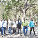 जिओ टॅगिंगसहित 17 हजार झाडांचा लेखाजोखा जनतेसमोर मांडा, याचिकाकर्ते श्रीराम पिंगळे यांनी तपोवनाला भेट देत केली मागणी geo-tagging details of 17k trees must be public, demands petitioner shriram pingale