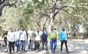 जिओ टॅगिंगसहित 17 हजार झाडांचा लेखाजोखा जनतेसमोर मांडा, याचिकाकर्ते श्रीराम पिंगळे यांनी तपोवनाला भेट देत केली मागणी geo-tagging details of 17k trees must be public, demands petitioner shriram pingale