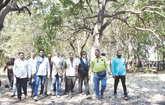 geo-tagging details of 17k trees must be public, demands petitioner shriram pingale geo-tagging details of 17k trees must be public, demands petitioner shriram pingale