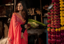 Photo – पदरावरती जर तारीचा मोर… अभिनेत्री प्रिया बापटचे पैठणीतले सोज्वळ रूप