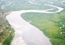 नवलच! माही आणि लिम्पोपो