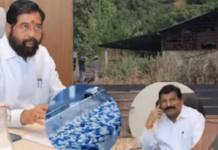 saamana editorial eknath shinde drugs case allegations satara
