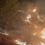sahdyadri sayaji shinde fire