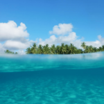 समुद्राचे पाणी ‘ऑसिडिक’ होतेय, ताटातून मासे गायब होण्याचा धोका