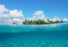 समुद्राचे पाणी ‘ऑसिडिक’ होतेय, ताटातून मासे गायब होण्याचा धोका